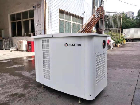 CNG/LPG Dual Fuel Generator (200 KW)