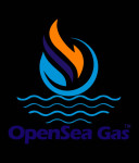 Opensea Gas