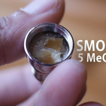 Bufo toad venom for sale image