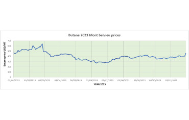 Weekly Mont Belvieu Propane-Butane price review December 1st 2023-LPG Blog