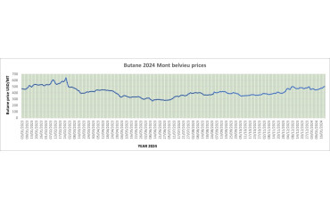Weekly Mont Belvieu Propane-Butane price review January 19th 2024