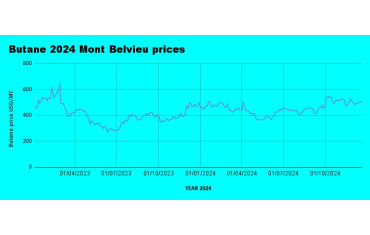 Weekly Mont Belvieu Propane-Butane Price Review: December 20th, 2024