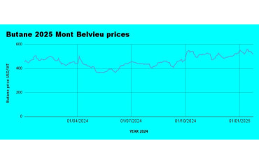 Weekly Mont Belvieu Propane-Butane Price Review: January 24th, 2025-LPG Blog