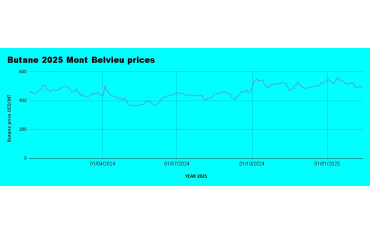 Weekly Mont Belvieu Propane-Butane Price Review: January 14th, 2025-LPG Blog