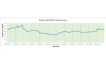 Weekly Mont Belvieu Propane-Butane price review December 29th 2023