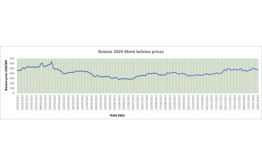 Weekly Mont Belvieu Propane-Butane price review - January 26th 2024