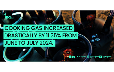 Cooking Gas Increased Drastically by 11.35% from June to July 2024